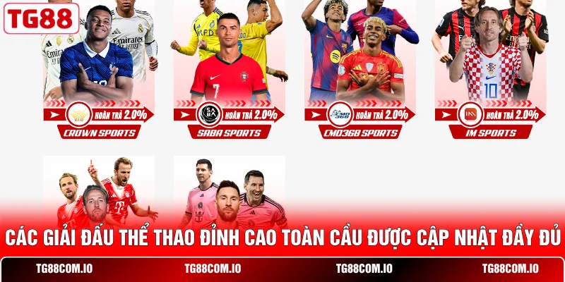 Các giải đấu thể thao đỉnh cao toàn cầu được cập nhật đầy đủ