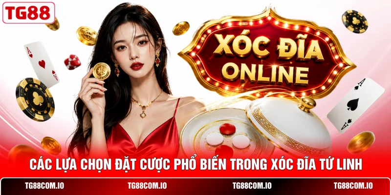 C&aacute;c lựa chọn đặt cược phổ biến trong x&oacute;c đĩa Tứ Linh&nbsp;