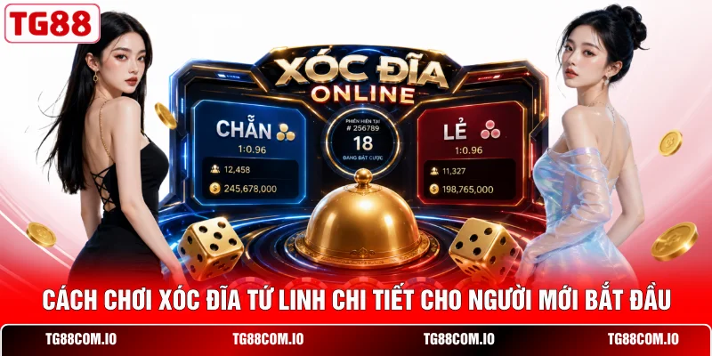 C&aacute;ch chơi x&oacute;c đĩa Tứ Linh chi tiết cho người mới bắt đầu&nbsp;