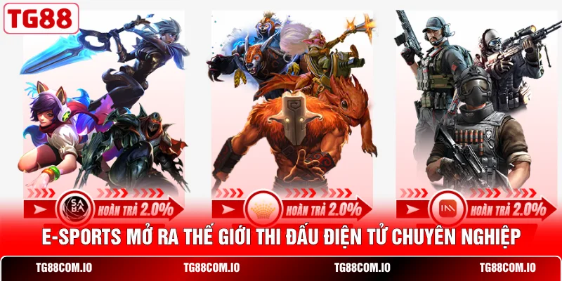 E-Sports mở ra thế giới thi đấu điện tử chuyên nghiệp