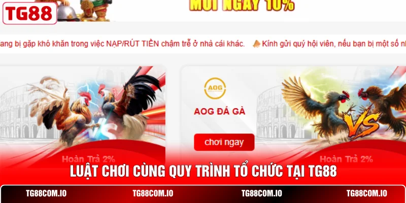 Luật chơi cùng quy trình tổ chức tại TG88