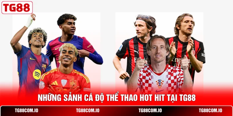 Thể Thao TG88 2 Những sảnh cá độ thể thao hot hit tại TG88