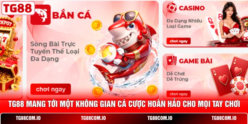 TG88 mang tới một không gian cá cược hoàn hảo cho mọi tay chơi