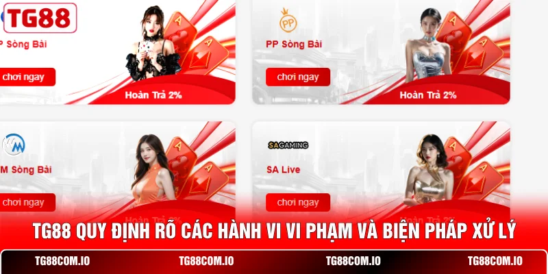 TG88 quy định rõ các hành vi vi phạm và biện pháp xử lý